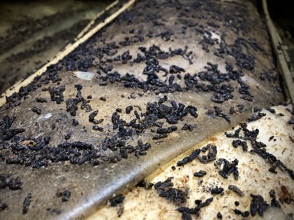 Service additional image