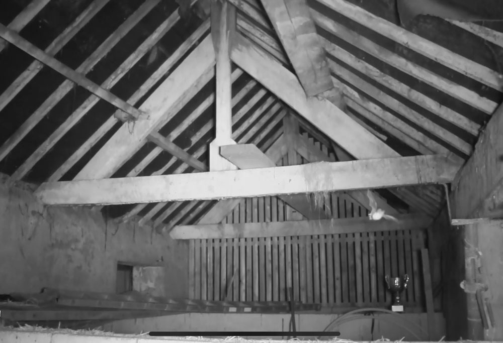 Service additional image