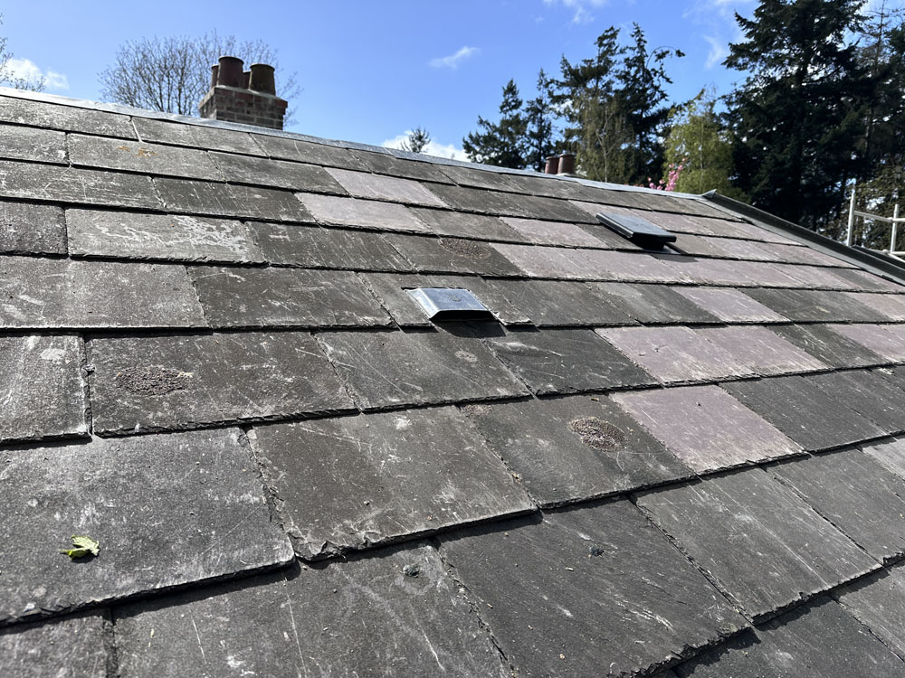 Service additional image