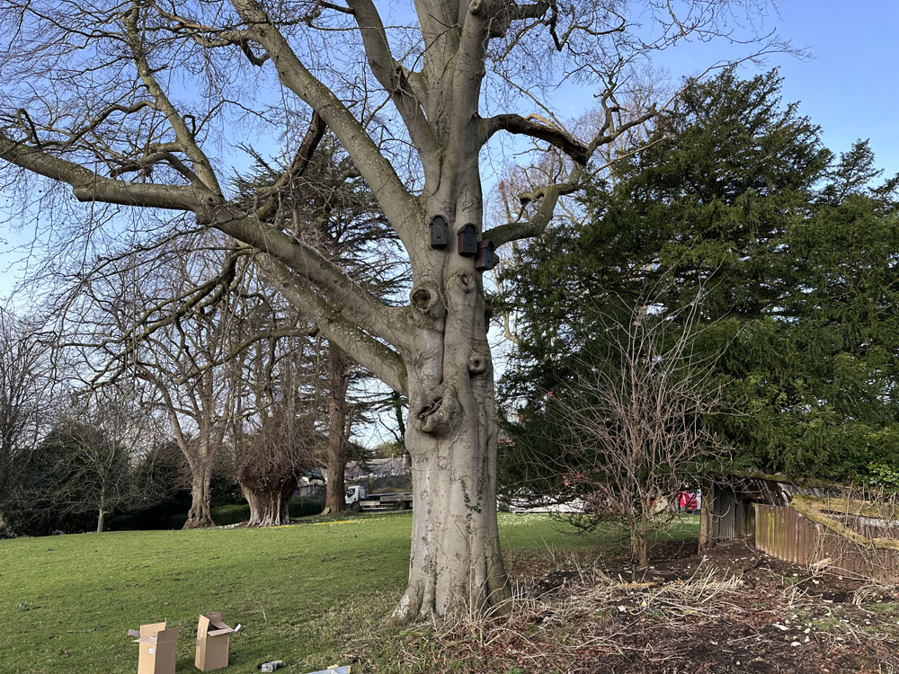 Service additional image