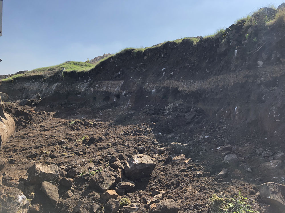 Service additional image