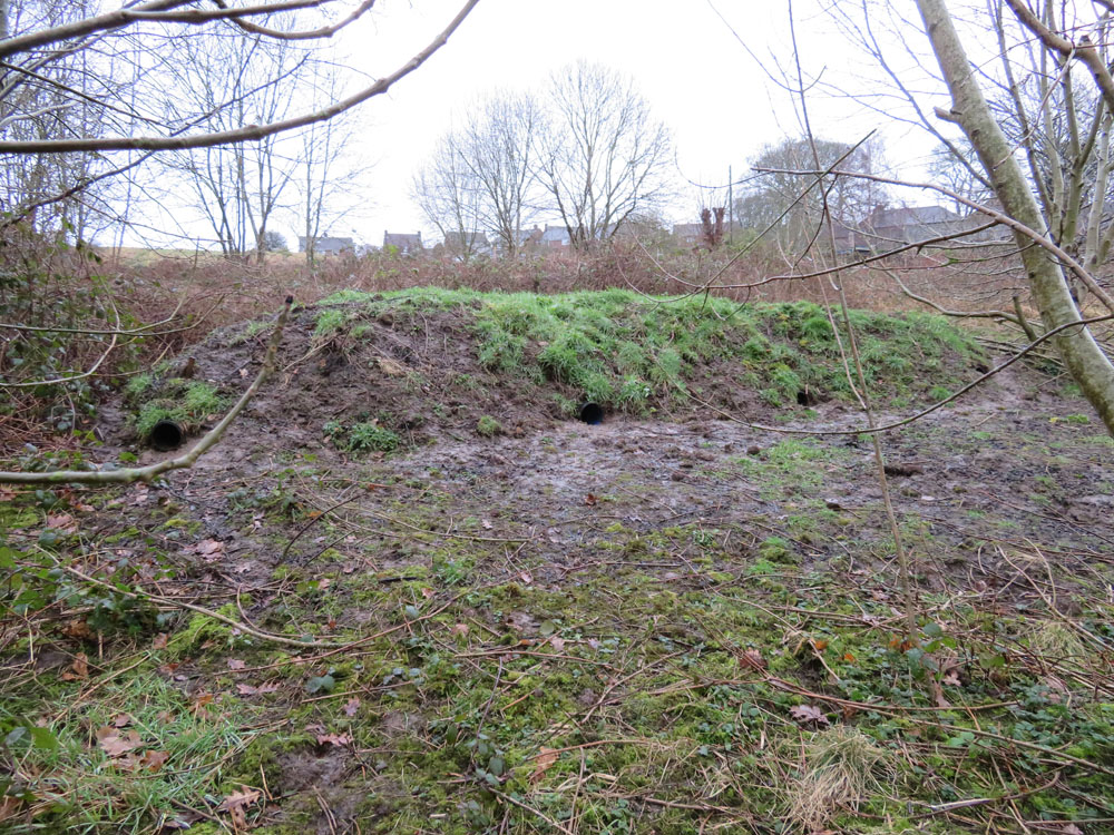 Service additional image