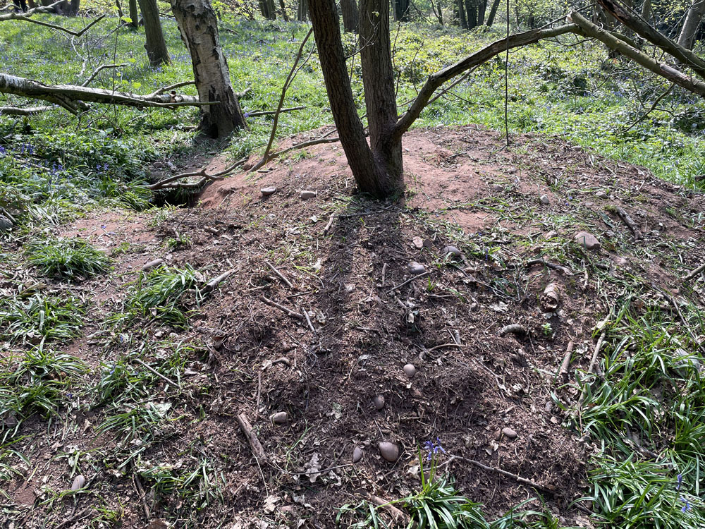 Service additional image