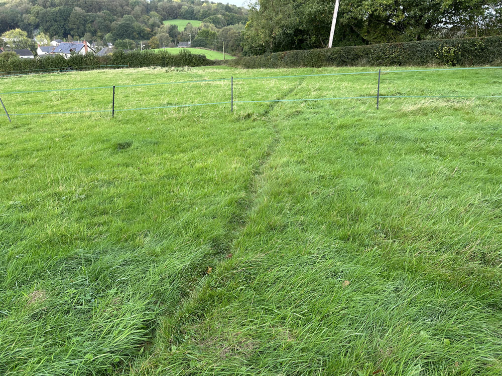 Service additional image