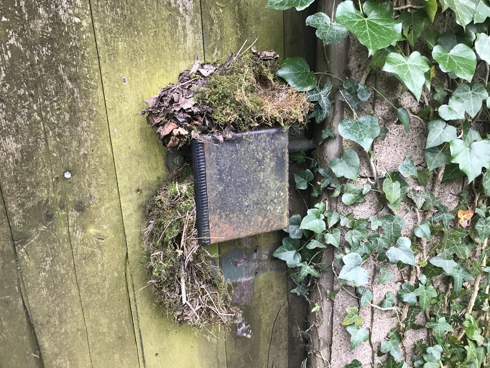 Service additional image