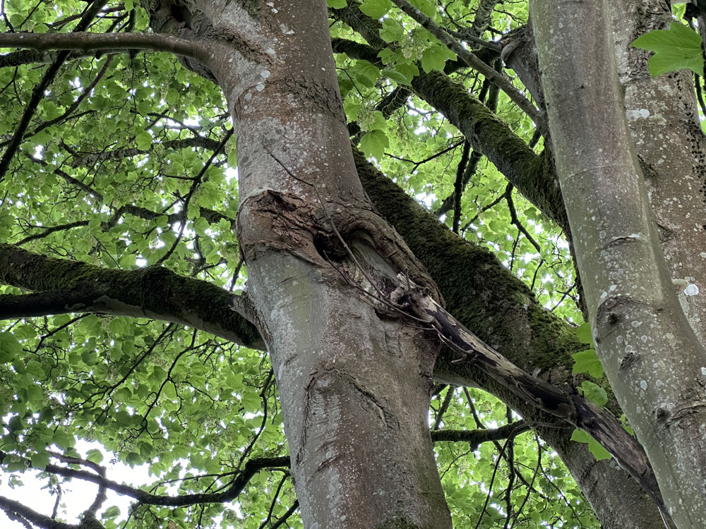 Portfolio additional image