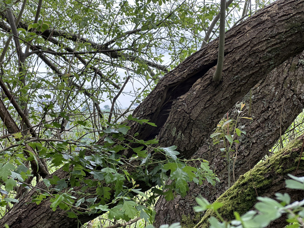 Portfolio additional image