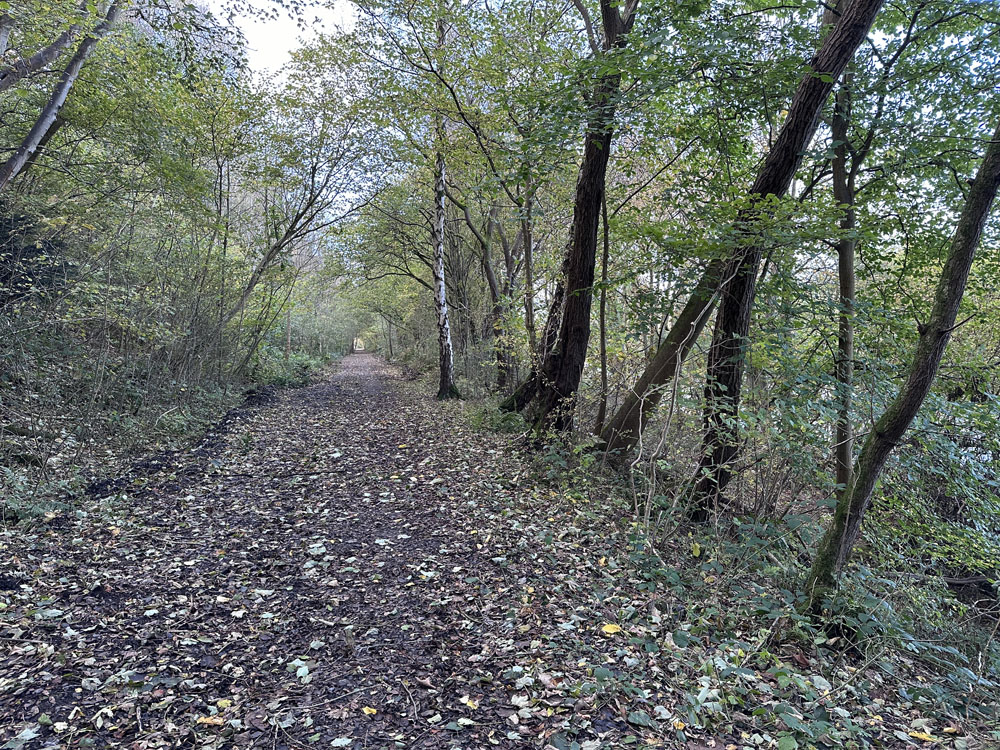 Portfolio additional image