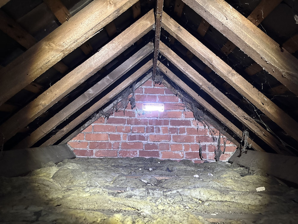 Portfolio additional image