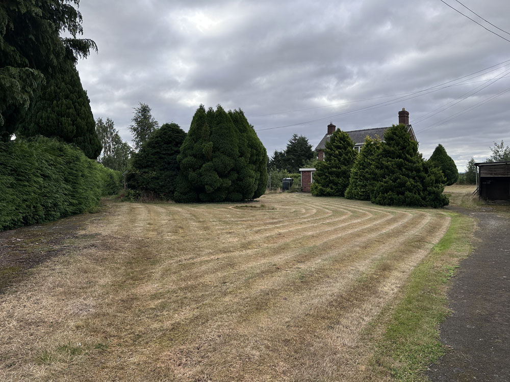 Portfolio additional image