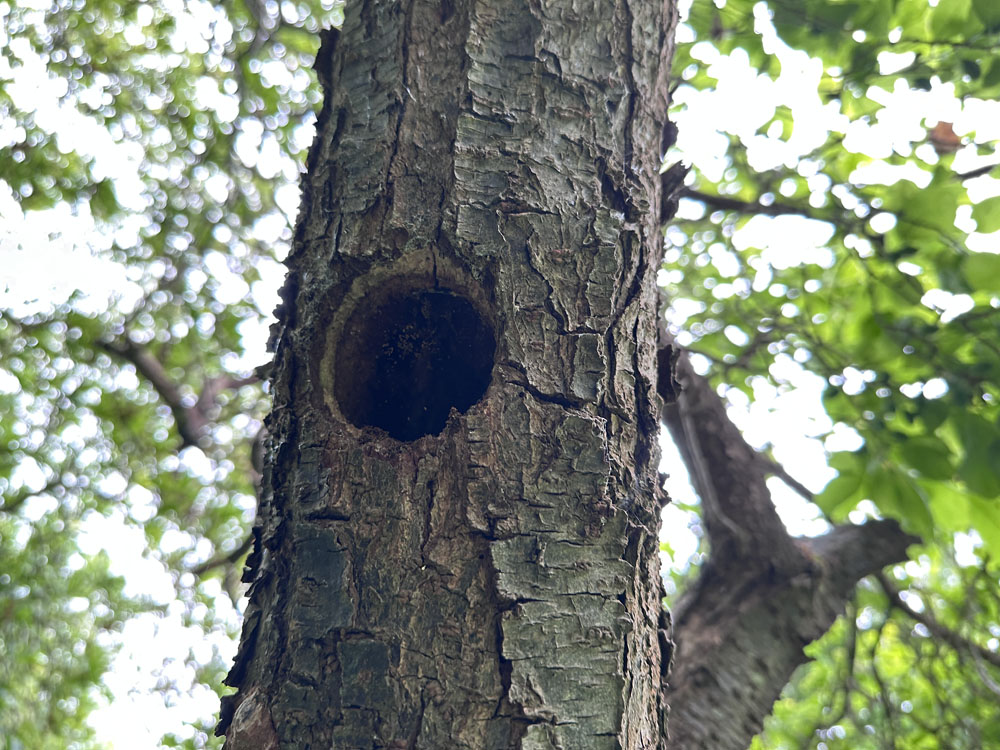 Portfolio additional image