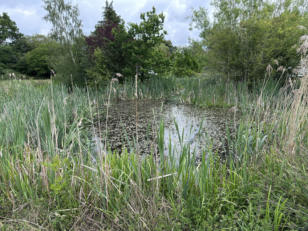 Portfolio additional image