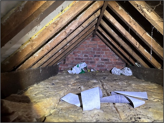 Portfolio additional image