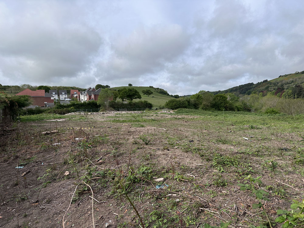 Portfolio additional image