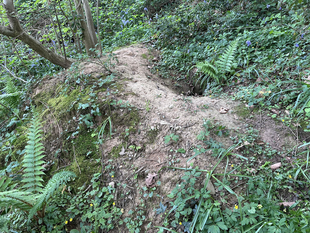 Portfolio additional image