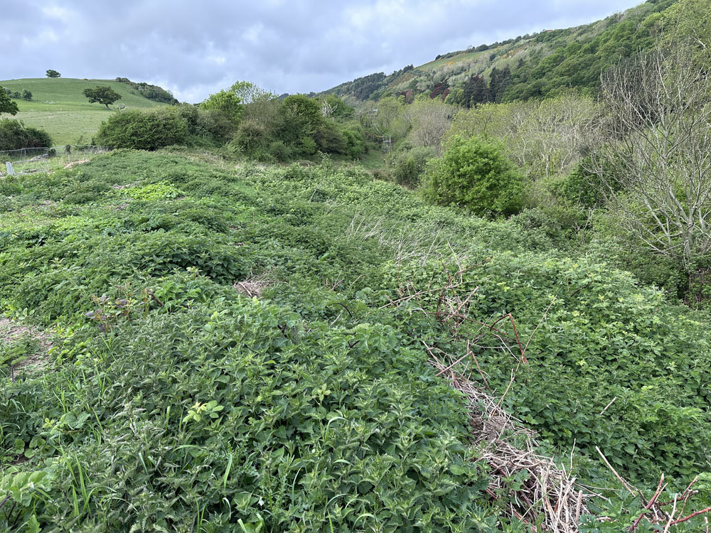 Portfolio additional image